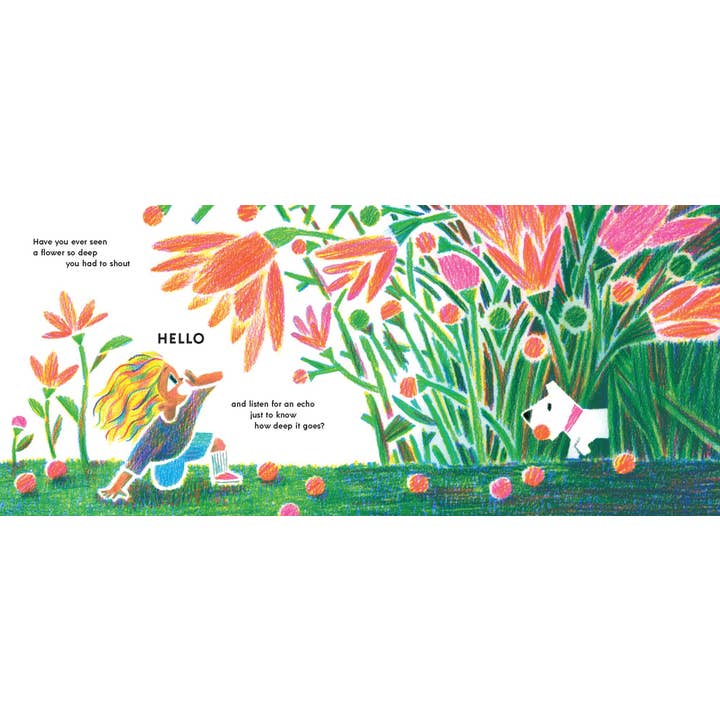 Chronicle Books - Wholesale Preschool Book (3-5) - Have You Ever Seen a Flower?4