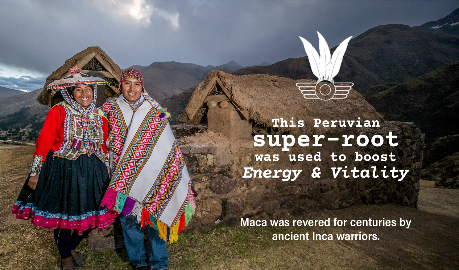 Eco chacras inc - Wholesale Protein/Superfood Powder - MACA Root Powder ! Organically Grown in Peru – Perfect Power Blend5