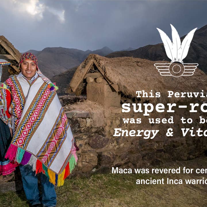 Eco chacras inc - Wholesale Protein/Superfood Powder - MACA Root Powder ! Organically Grown in Peru – Perfect Power Blend5