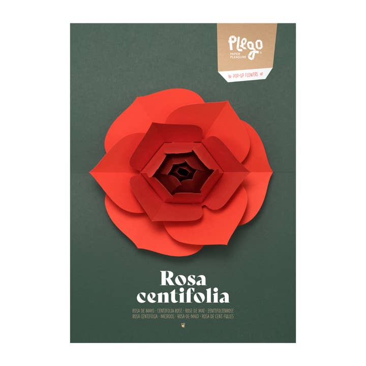 Rose - 3D-pop-up-figuur met bloemen van Pego voor wholesale door Today is Art Day