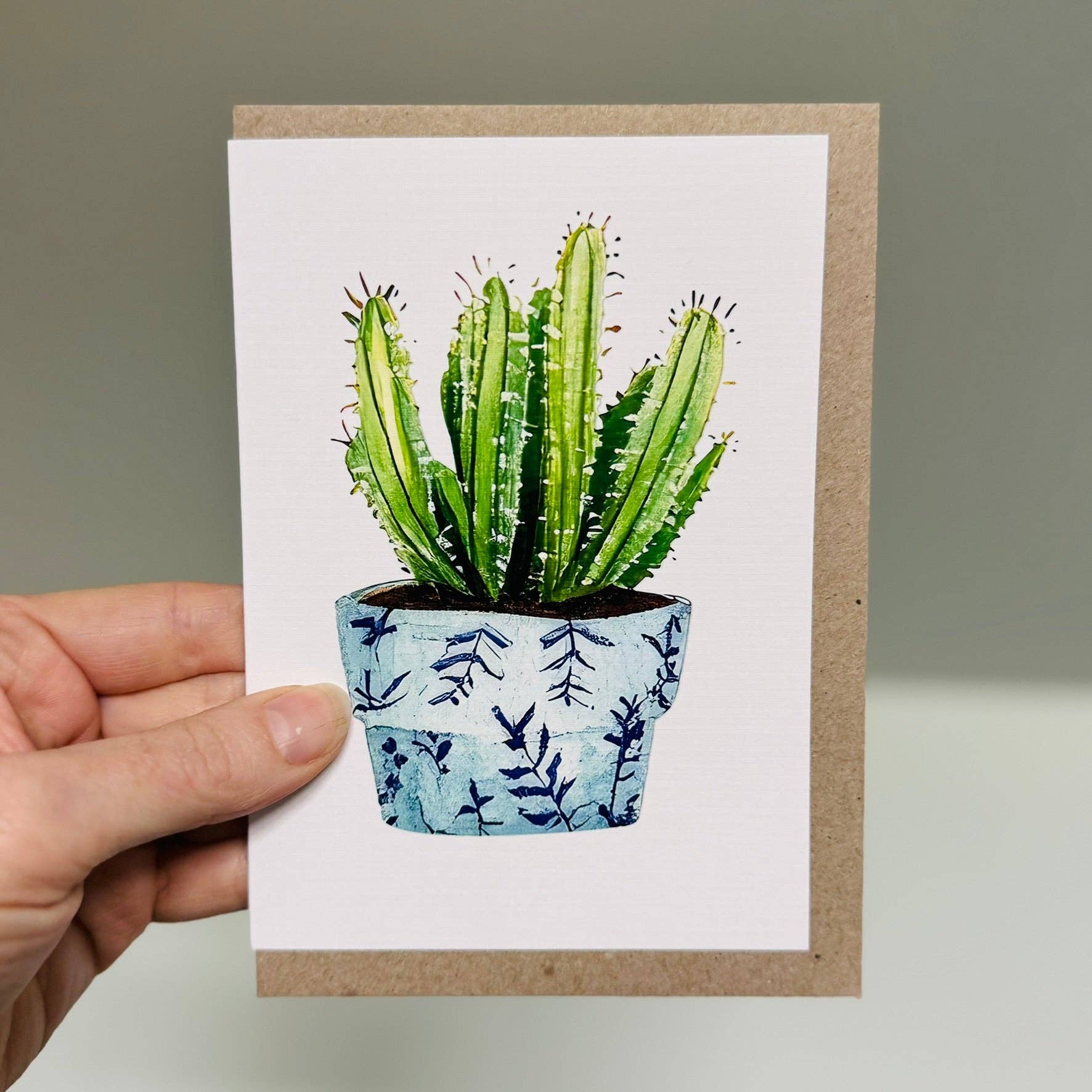 Scattered Seed Co - Wholesale Stationery/Notecard Set - SUCCULENTS whimsical greeting cards set of 46