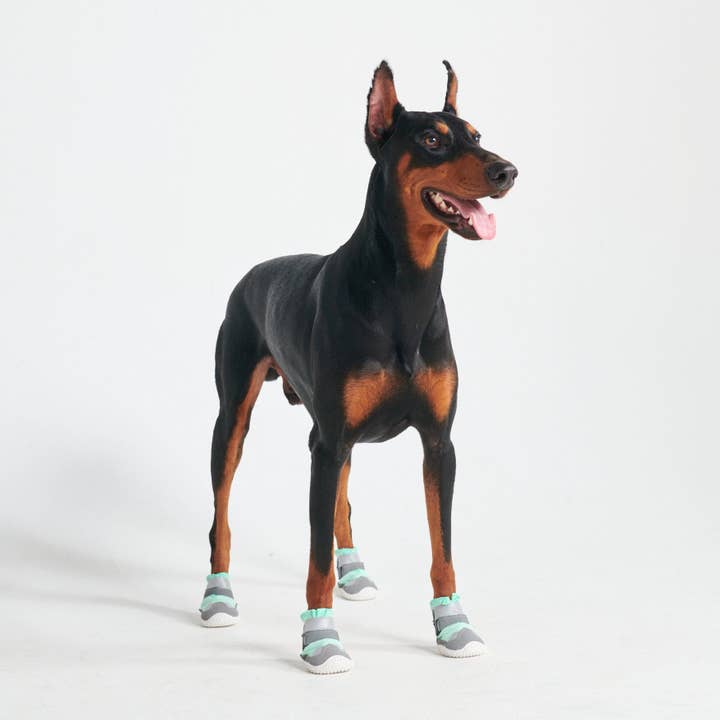 Spark Paws - Wholesale Pet Boots - Dog - Hot Pavement Pawtector Dog Shoes - Teal