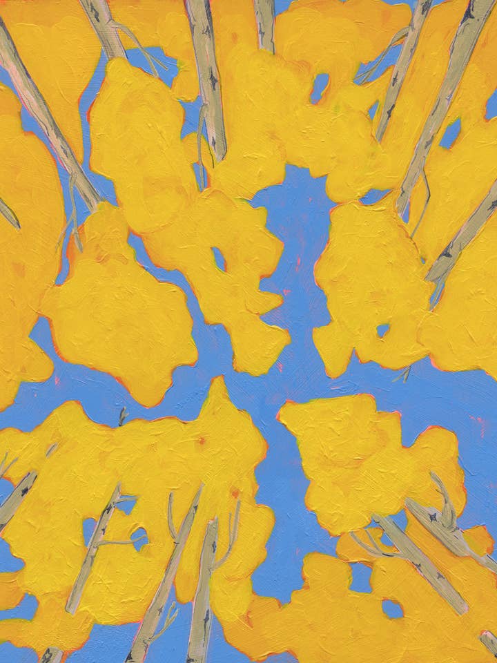 Aspens Above - Impression giclée artistique pour la vente par Erika Donaghy Creative Studio