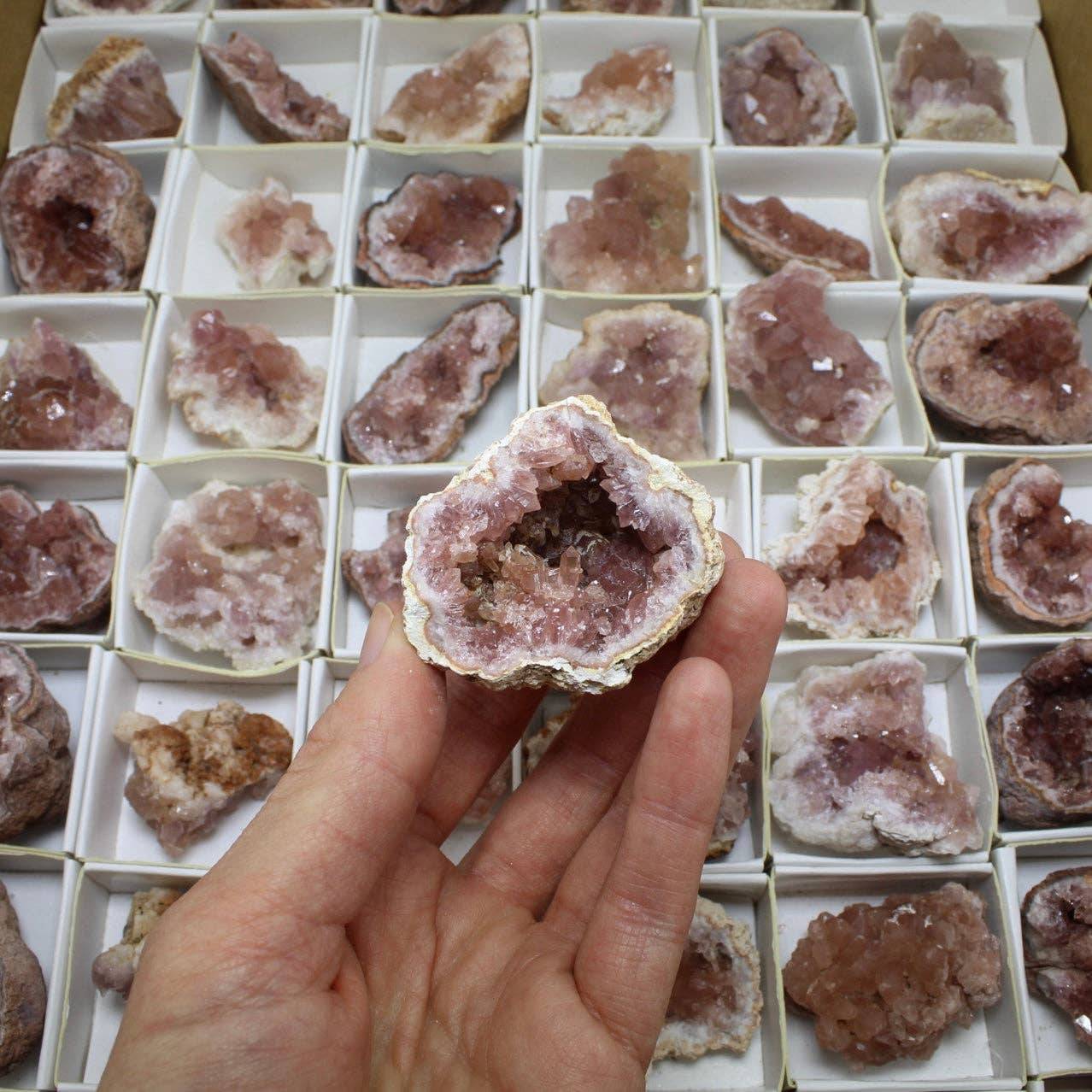 Quasar Gems USA - Wholesale Spiritual Stone/Crystal - Pink Amethyst Geodes Small Size2