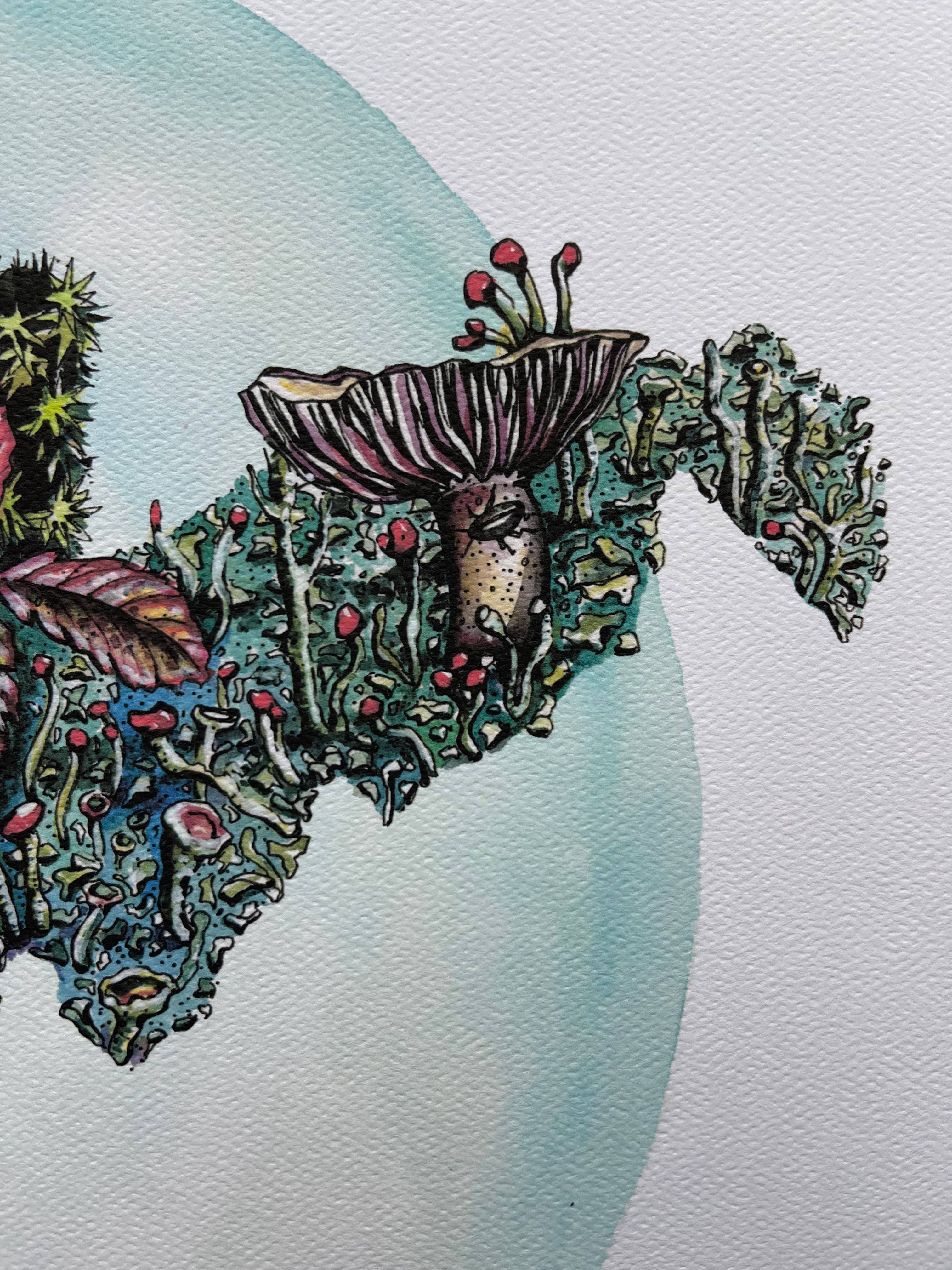 Rosalie Haizlett Illustration – Engroshandel Kunsttryk – West Virginia Skovbunden - Akvarel Kunsttryk5