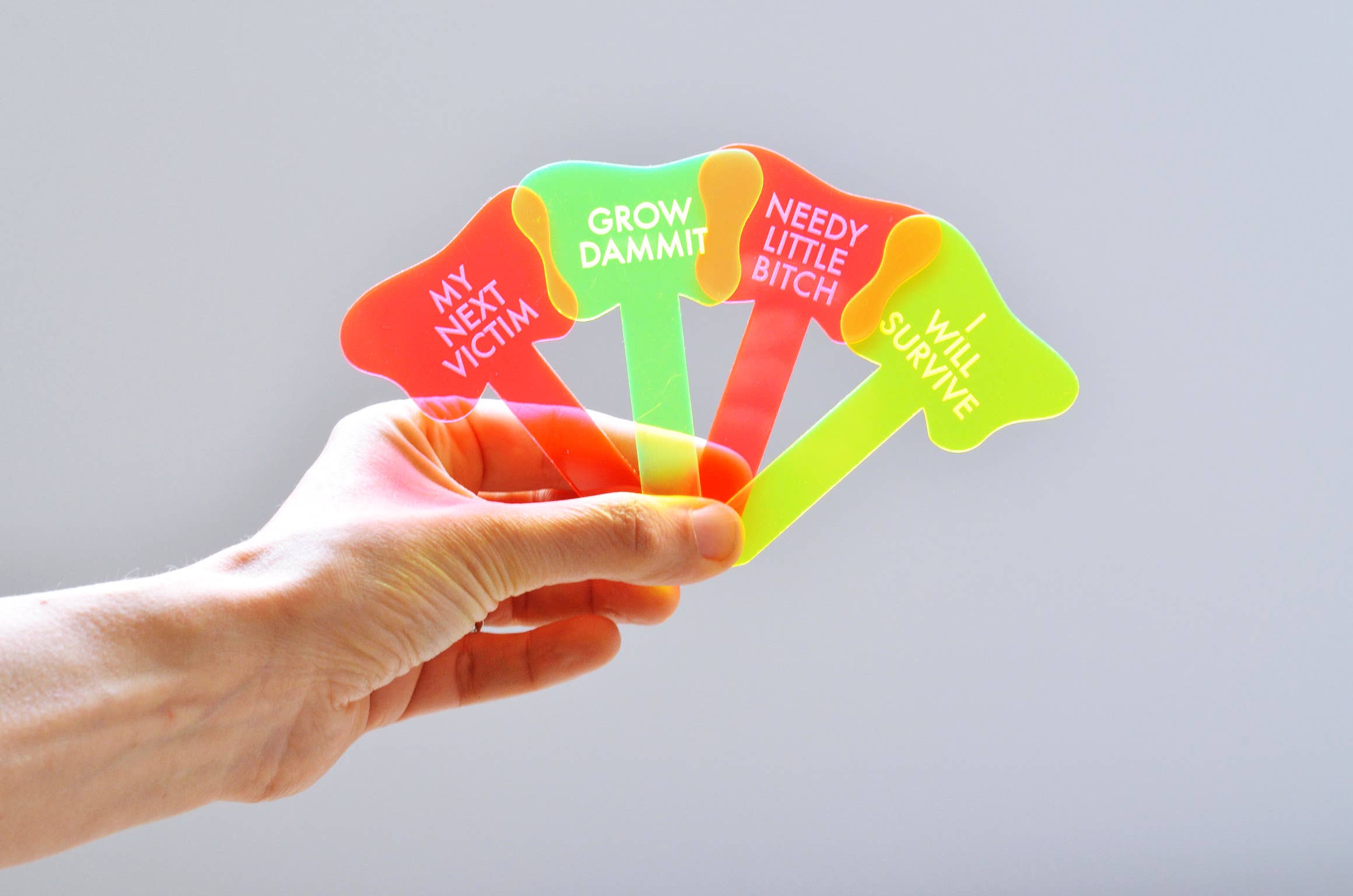 Tuff Girl Gang - Wholesale Plant Pot - NEEDY LITTLE BITCH Plant Stake11