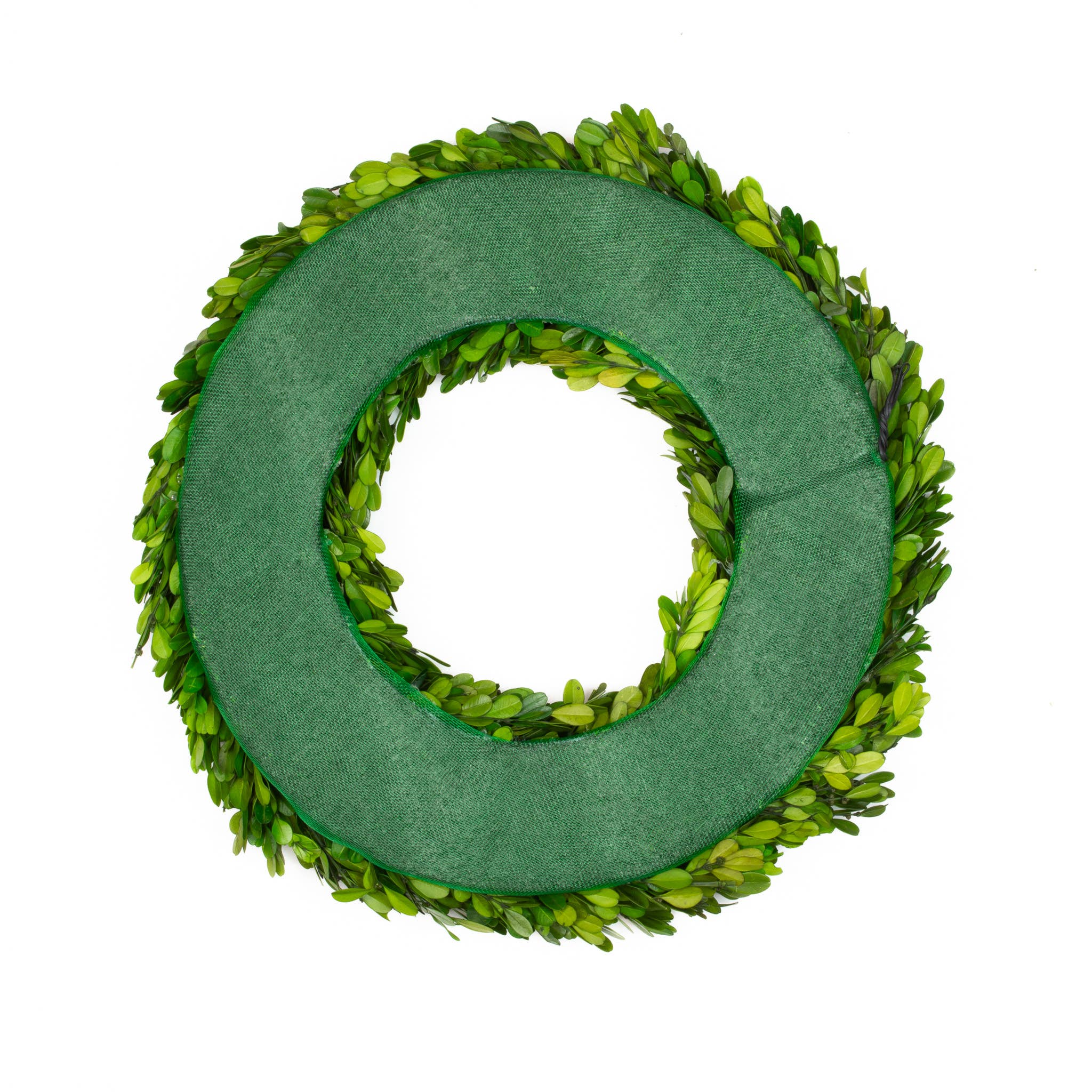 Mills Floral Company - Wholesale Wreath - Preserved Boxwood Wreath - 16 Inch2