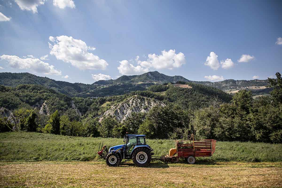 Gustoemilia - Wholesale Cheese - Box Maggengo — Mountain Parmigiano Reggiano2