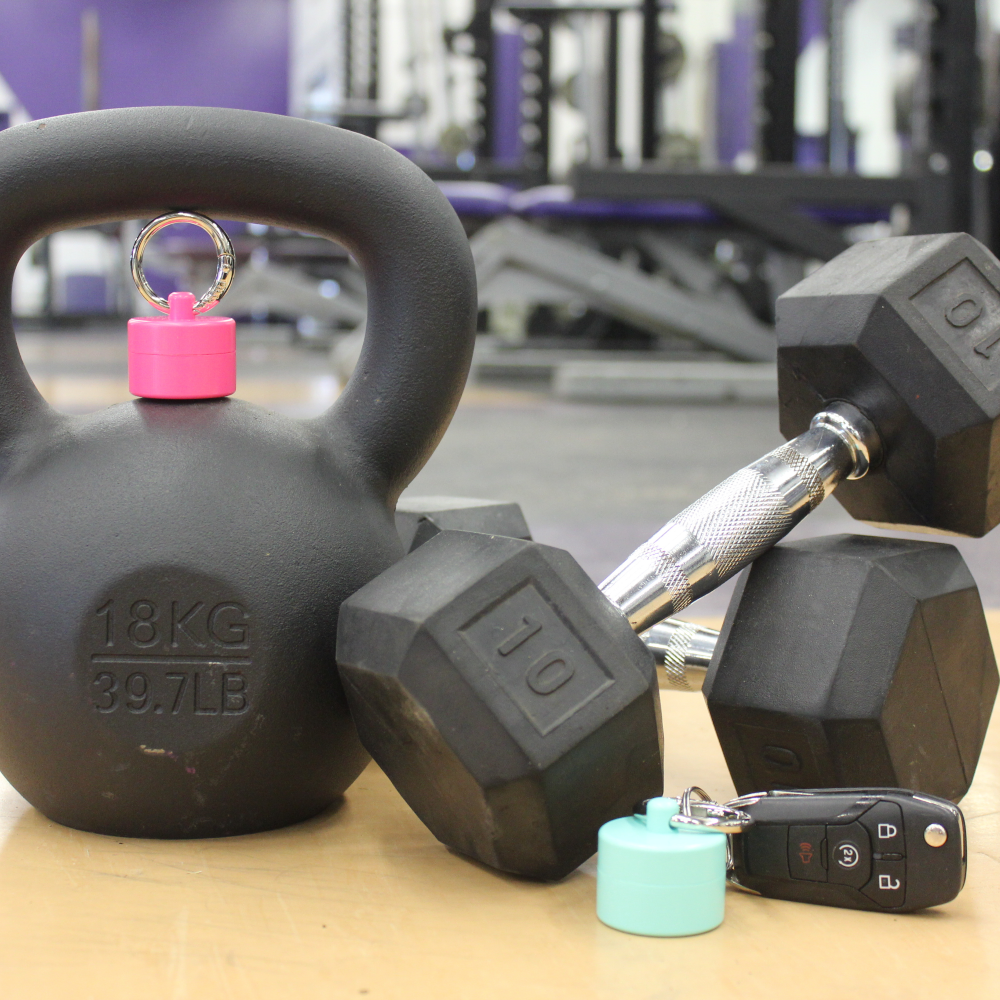 Lion Latch - Wholesale Jewelry Box/Organizer - Mint Lion Latch Jewelry/Pill Tote2