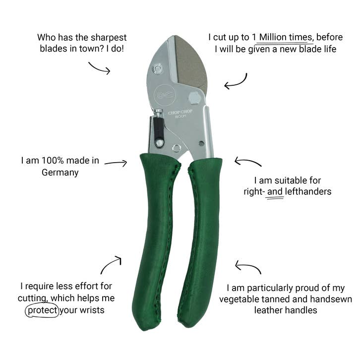 Dragonnier pour la vente par Chop Chop Bloom