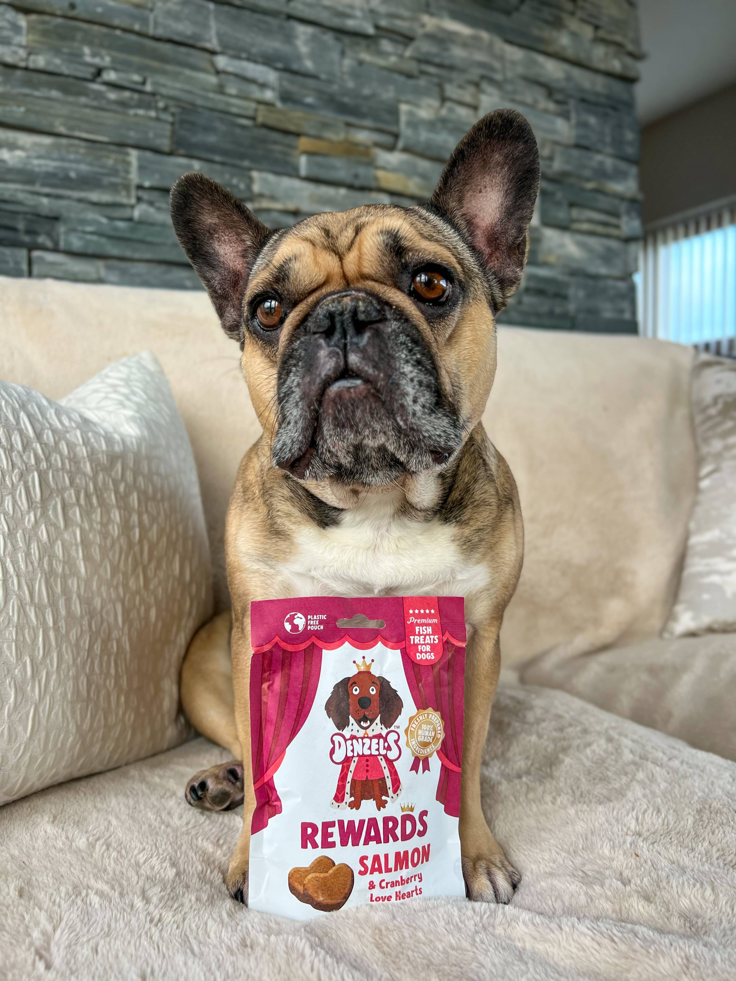 Denzel's - Healthy Dog Treats - Wholesale Pet Treats - Dog - Salmon & Cranberry Love Hearts Rewards 70g (Case of 10)4