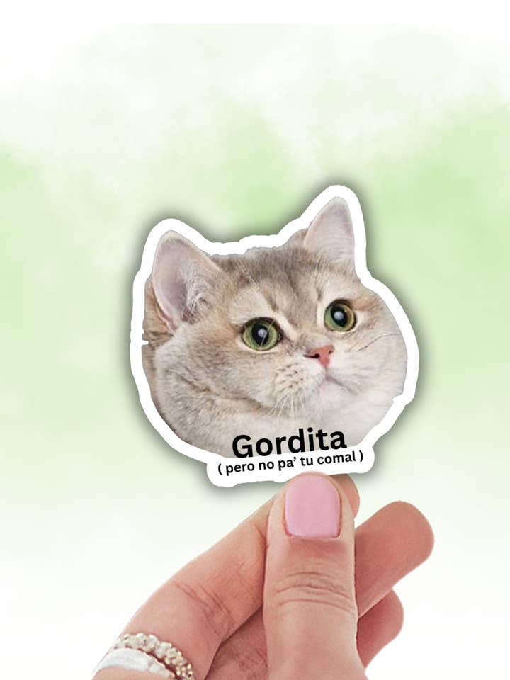 funny latina spanglish sticker,cat meme decals,vinyl sticker for wholesale by Lalatina Shop
