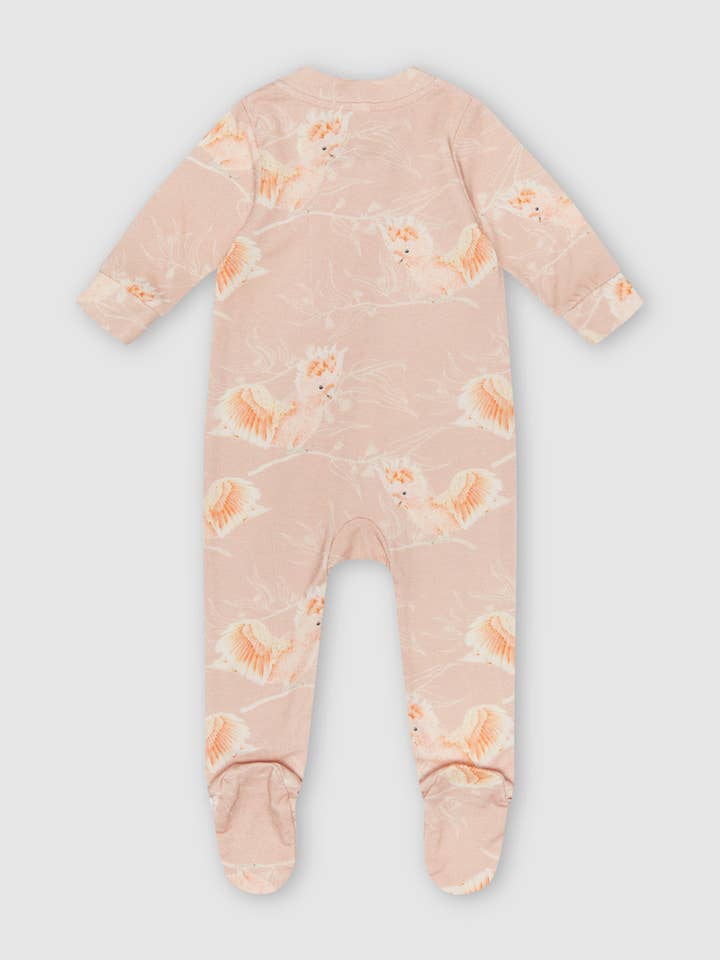 Botanical Baby - Wholesale Jumpsuit – Baby - Organic Zip Growsuit in Cockatoo5