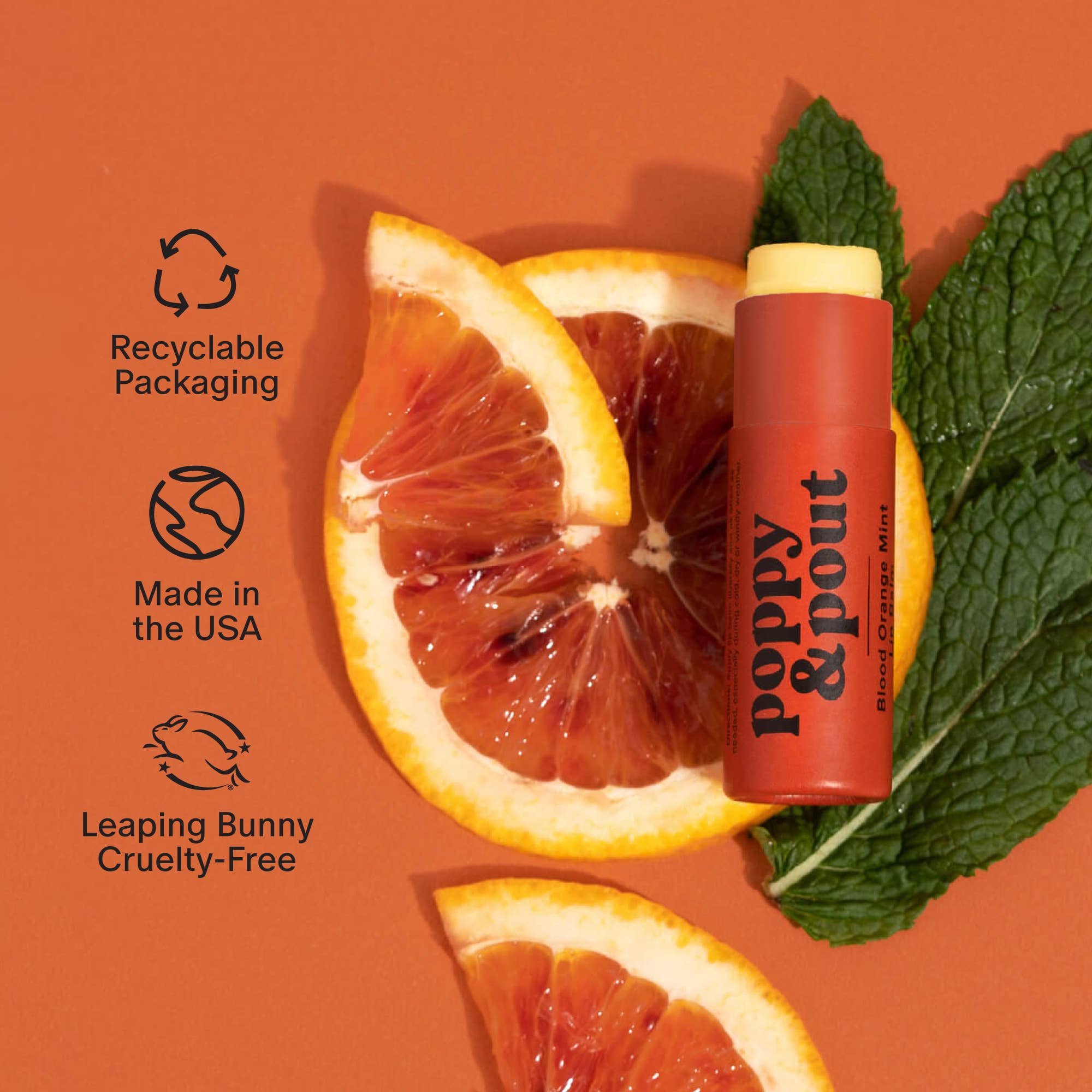 Poppy & Pout - Wholesale Lip Balm - Lip Balm, Blood Orange Mint4
