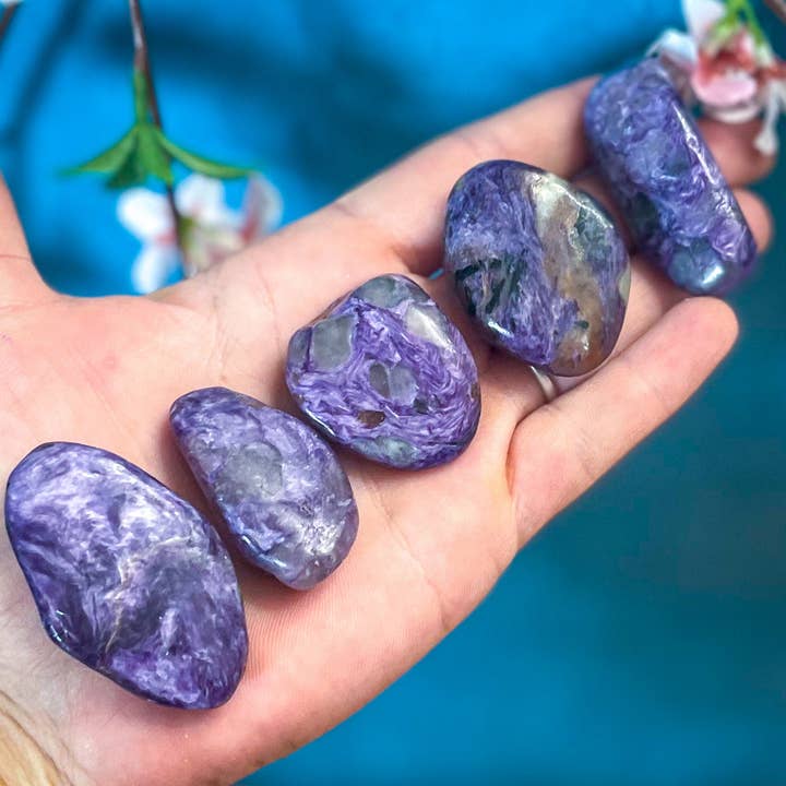 Mandala Gems - Vendita all'ingrosso Pietra/cristallo spirituale - Charoite lucido2