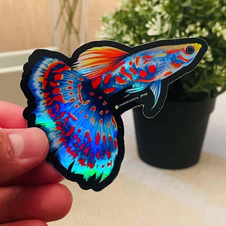 Autocollant Guppy Fish (holographique) pour la vente par Reef of Clowns