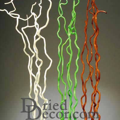 Dried Decor - Wholesale Dried/Pressed Flowers - Corkscrew Willow Branches | 6 Bunches | Color Options Available4