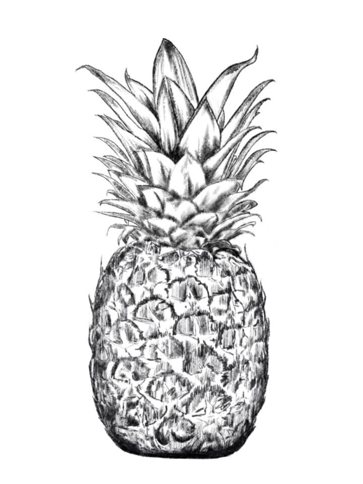 Impressão de abacaxi por atacado de Kellie Cooke Art