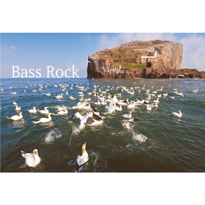 Magnete fotografico Bass Rock per la vendita all'ingrosso da parte di Island Blue Publishing