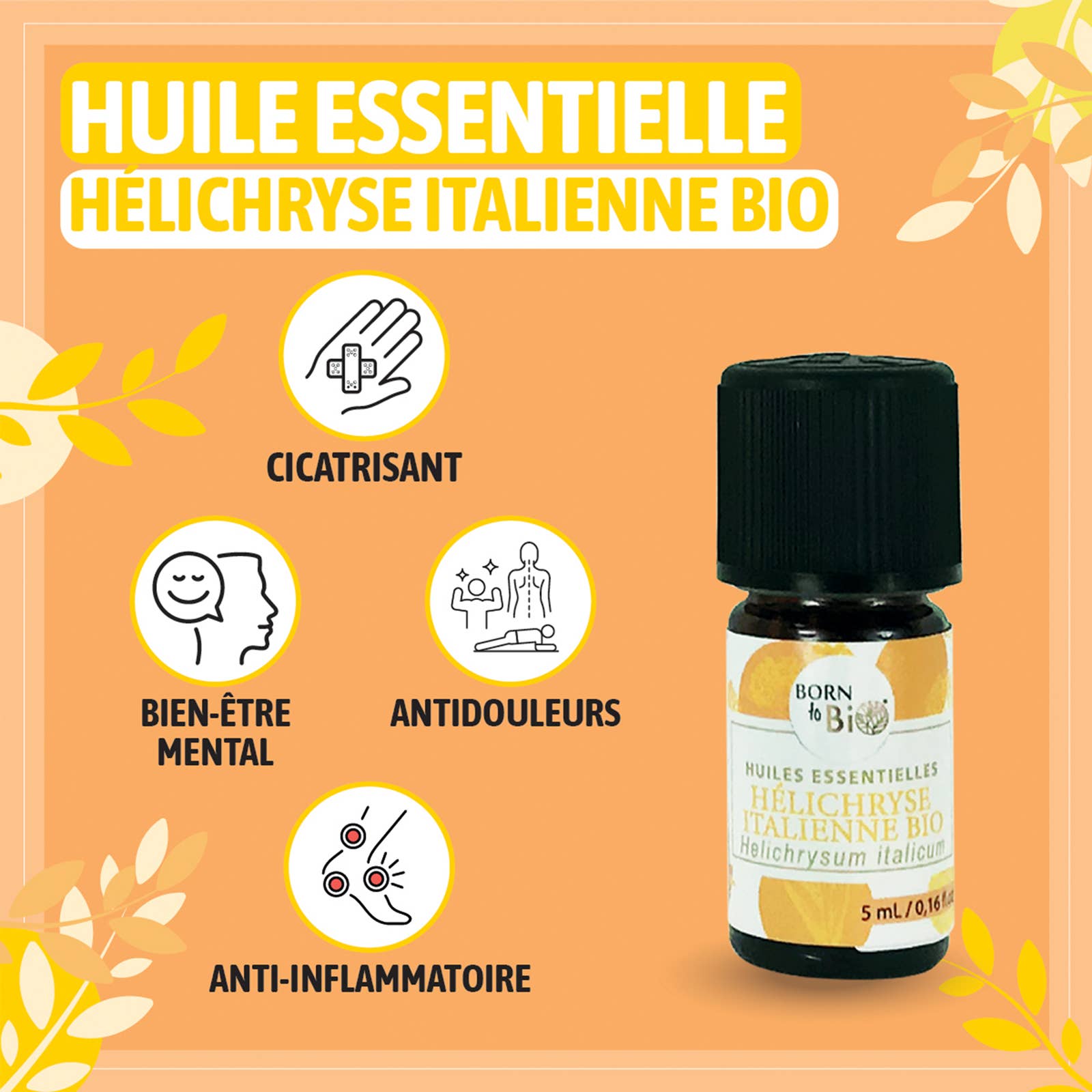Les Laboratoires Bio Seasons - Wholesale Etherische olie - Biologische Italiaanse Helichrysum essentiële olie 5 ml5