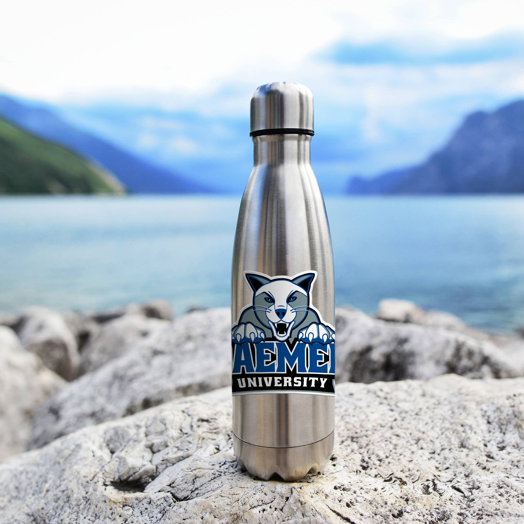 Rico Industries - Wholesale Car Decorative Charm - Unisex - NCAA  Daemen Wildcats  Medium Die Cut Decal3