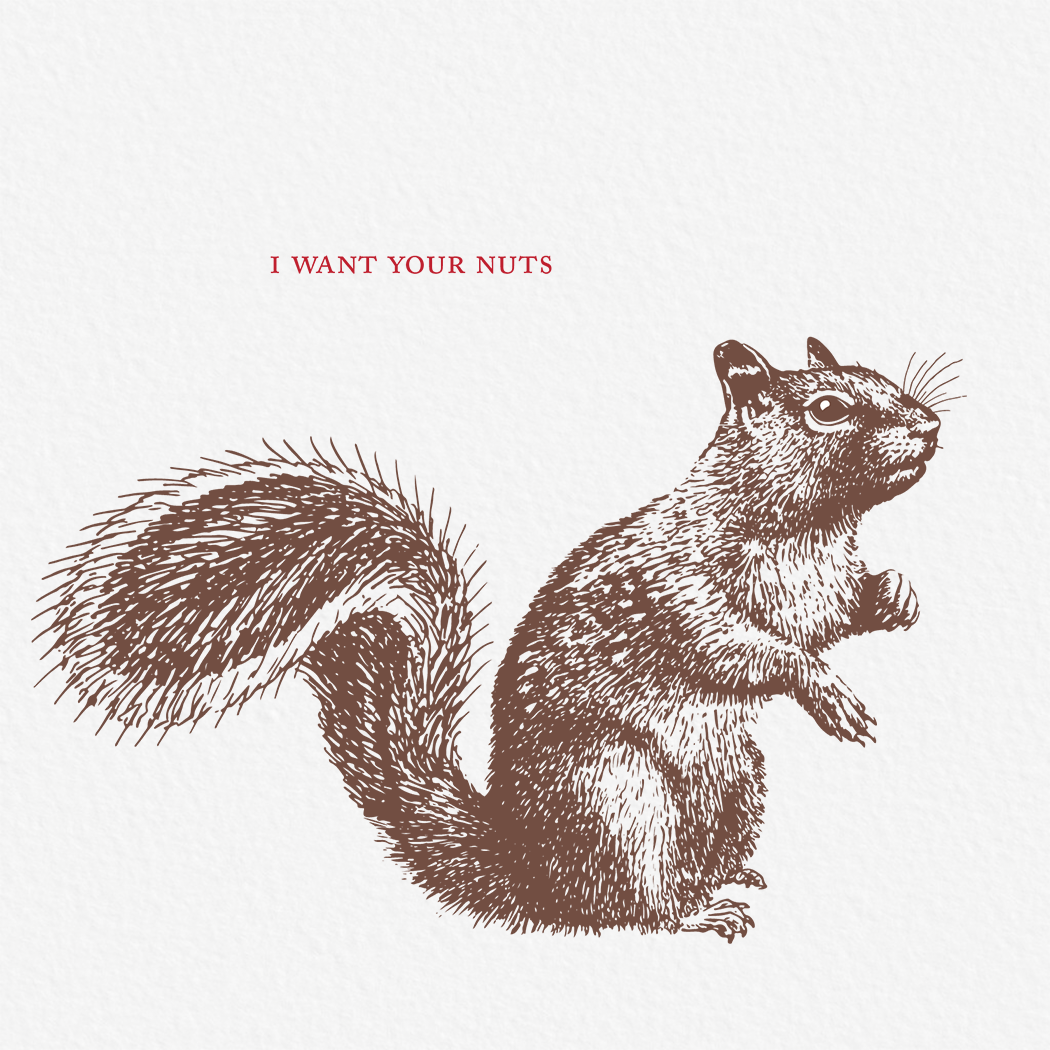 Ampersand M Studio – wholesale Love card – I Want Your Nuts Squirrel Sexy Valentine's Day Greeting Card1