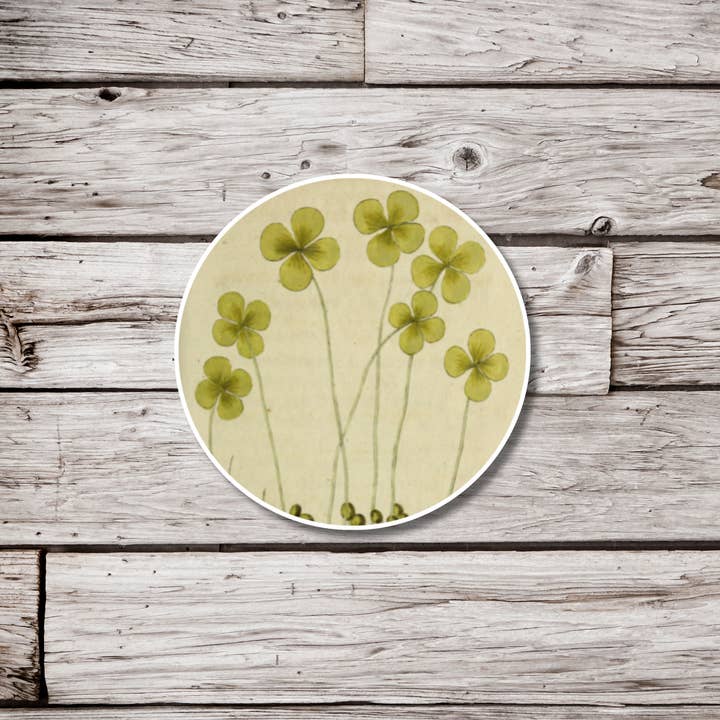 Clover Sticker, Botanical Sticker, Natural History Sticker for wholesale by NatureCuts