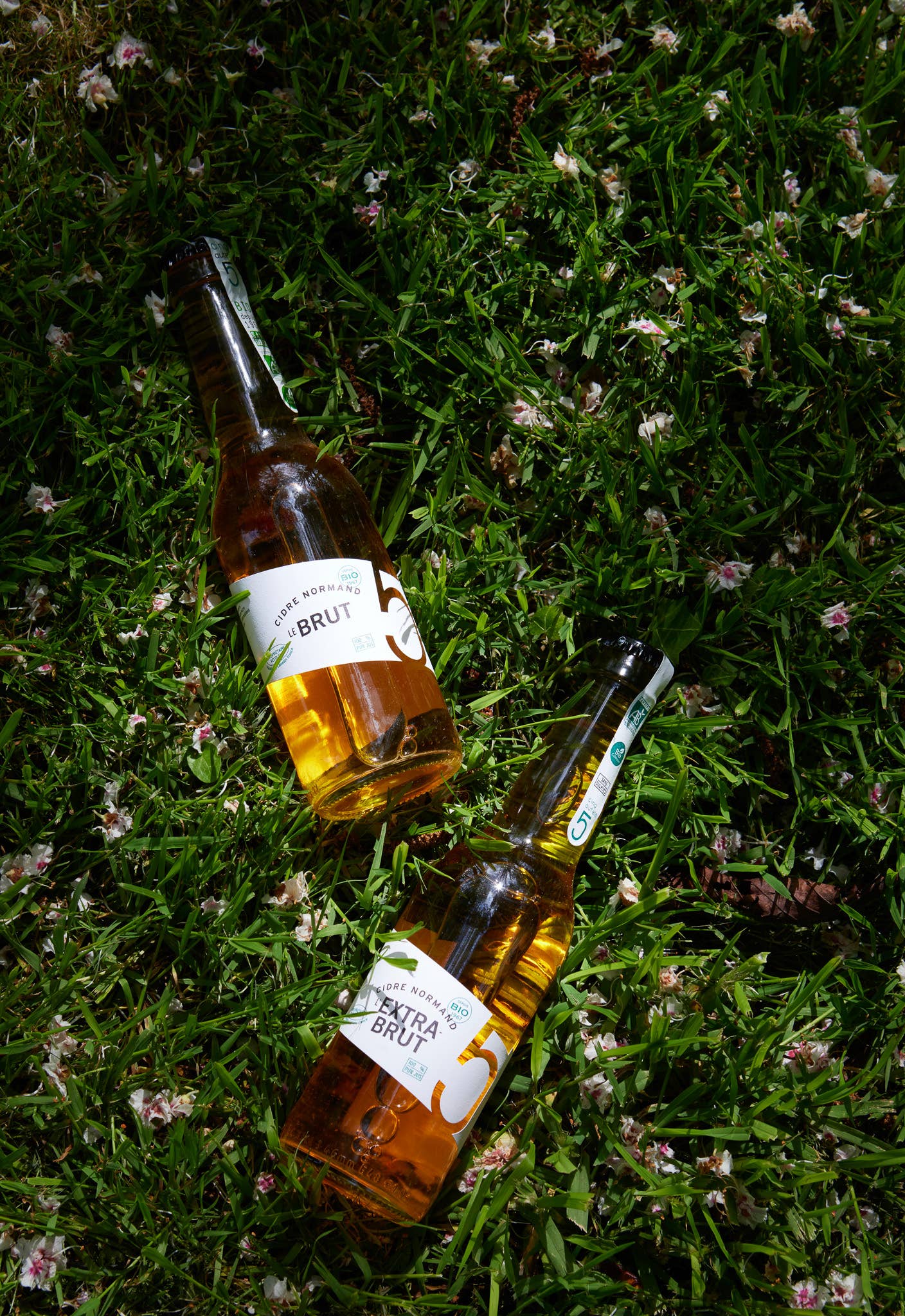 Domaine des 5 Autels - Wholesale Hard Cider - Organic raw cider without sulphites 5.5% vol. - 33cl2