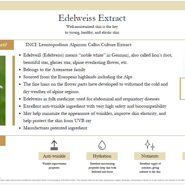 Nuvea - Wholesale Facial Serum/Concentrate - NUBORN CELL Blanc Power Ampoule14