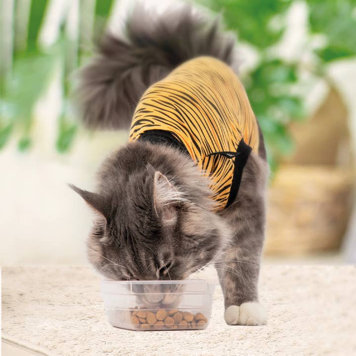 Suitical – wholesale Pet bodysuit – Cat/dog – Recovery Suit - Cat4