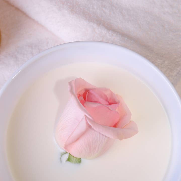 Winfull Corporation - Vendita all'ingrosso Bevanda salutare in polvere - TÈ AL LATTE IN POLVERE E ROSA1