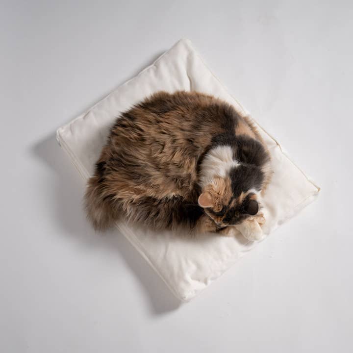 Coussin pour animaux en mousse à mémoire de forme pour la vente par Rawry Pets