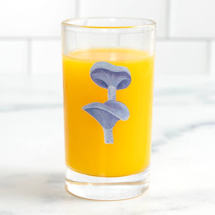 Mini-sapglas met paarse champignons voor wholesale door 1canoe2 | One Canoe Two Paper Co.