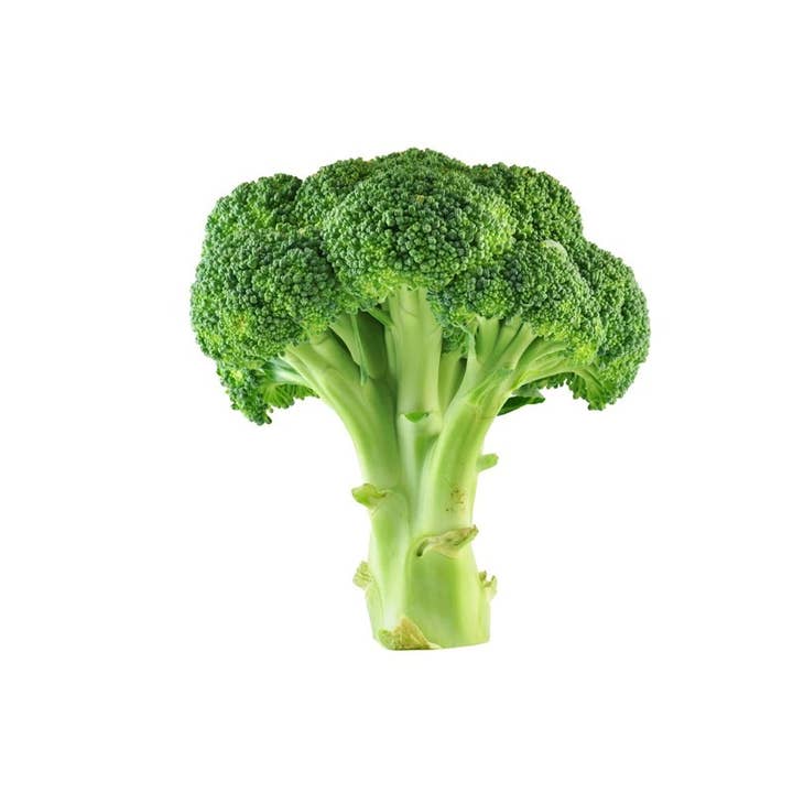 Bentley Seed Co. - Wholesale Plant Seeds - Broccoli-Green Sprouting Calabrese