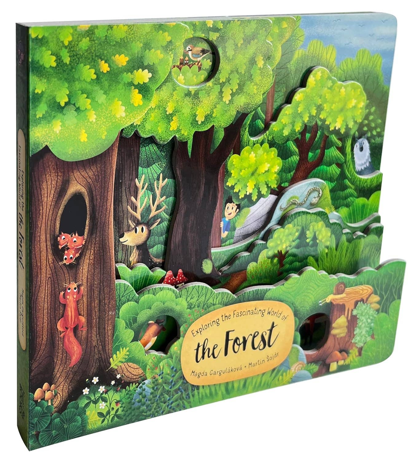 Fox Chapel Publishing - Wholesale Nature & Outdoors - Exploring the Fascinating World of the Forest1