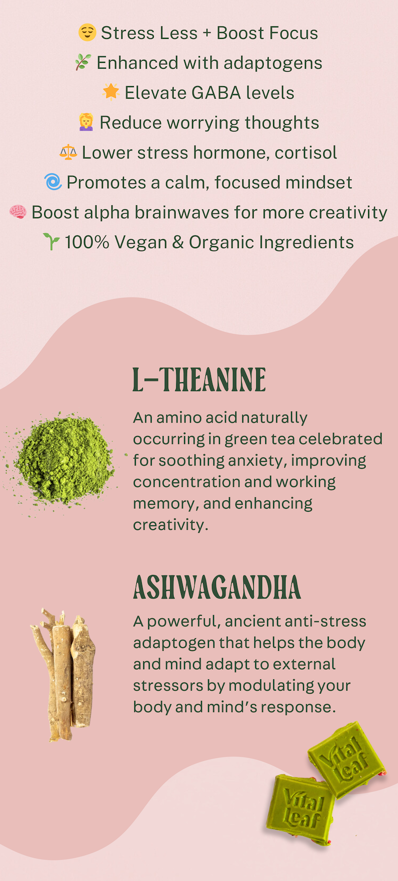 Vital Leaf - Vente Barre chocolatée - Tablette de chocolat Matcha pour réduire le stress et améliorer la concentration : boîte de 128