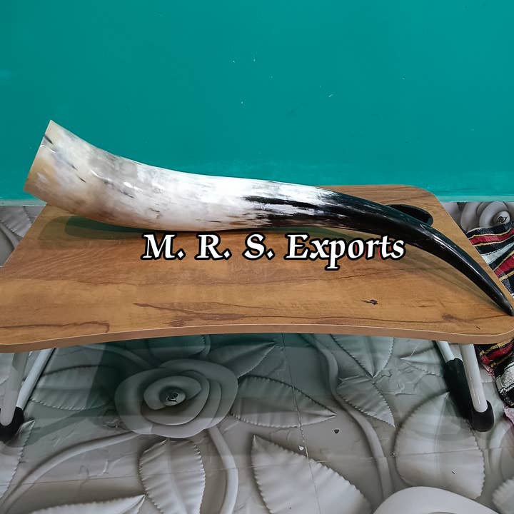 Cream High Quality Viking Drinking Horns At Affordable Prices for wholesale on Faire