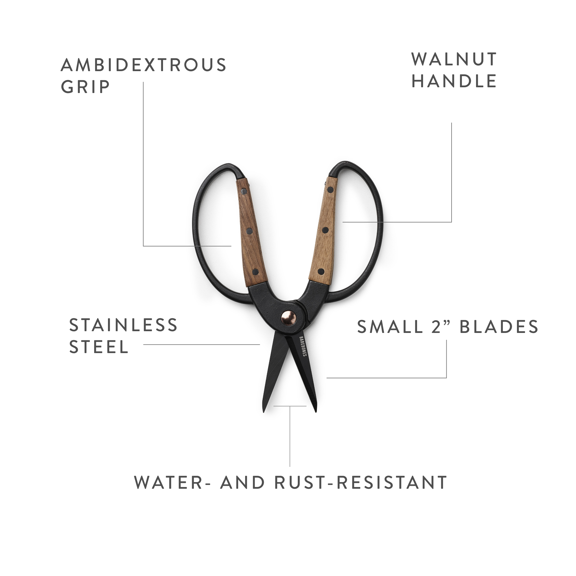 Barebones - Wholesale Garden Tool - Garden Scissors - Small4