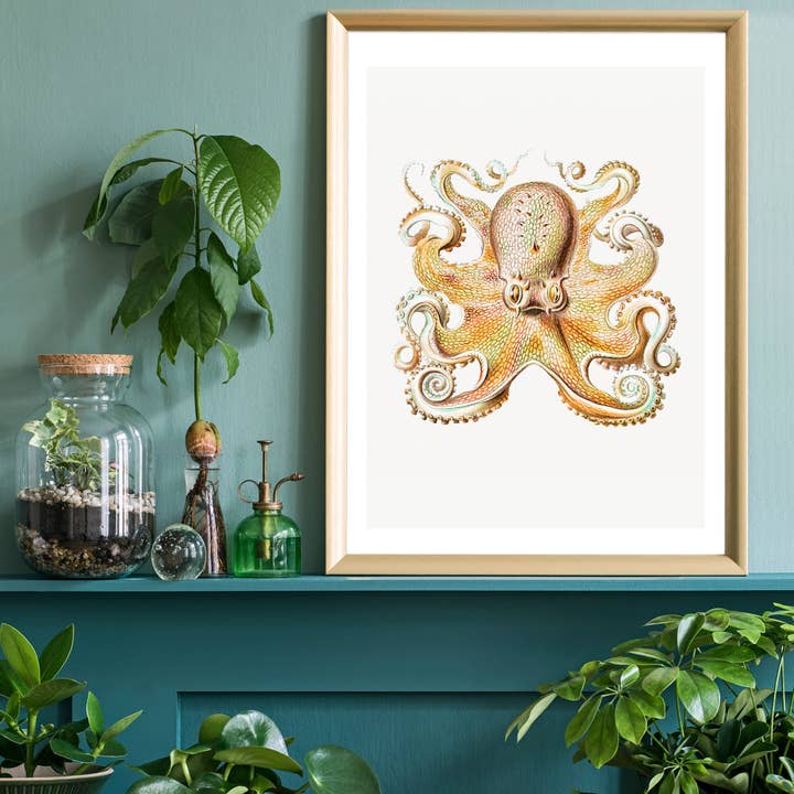 Ink & Drop - Wholesale Art Print - Vintage Octopus Illustration Print