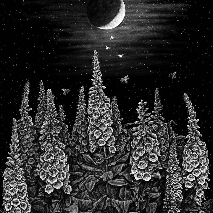 Death of Seasons – Impressão artística por atacado – Foxglove 8.5x11 Imprimir