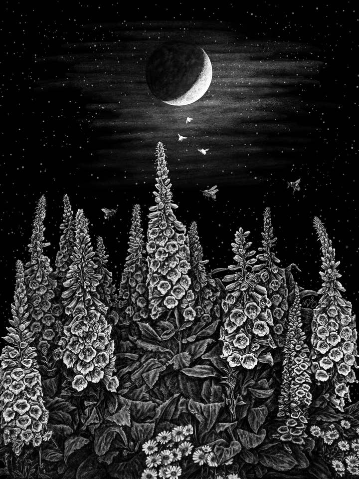 Fingerborgslove 8.5x11 Skriv ut för wholesale av Death of Seasons