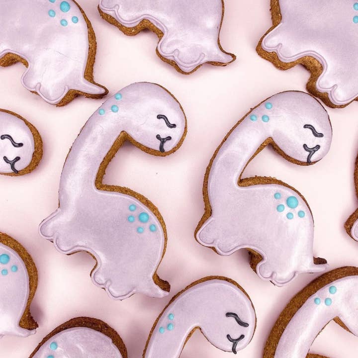 Dino Iced Treat for wholesale by Nelson's Treats