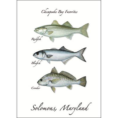 Earth Sky + Water - Wholesale Everyday Greeting Card - Chesapeake Favs.0