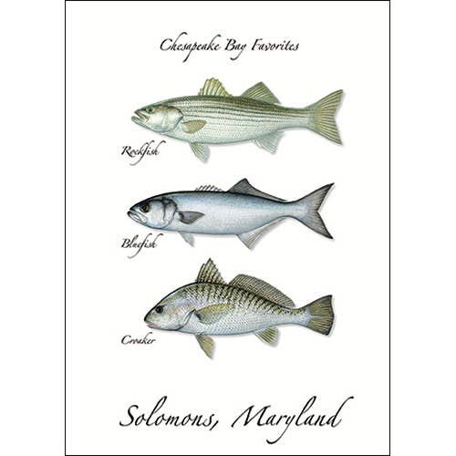 Earth Sky + Water - Wholesale Everyday Greeting Card - Chesapeake Favs.