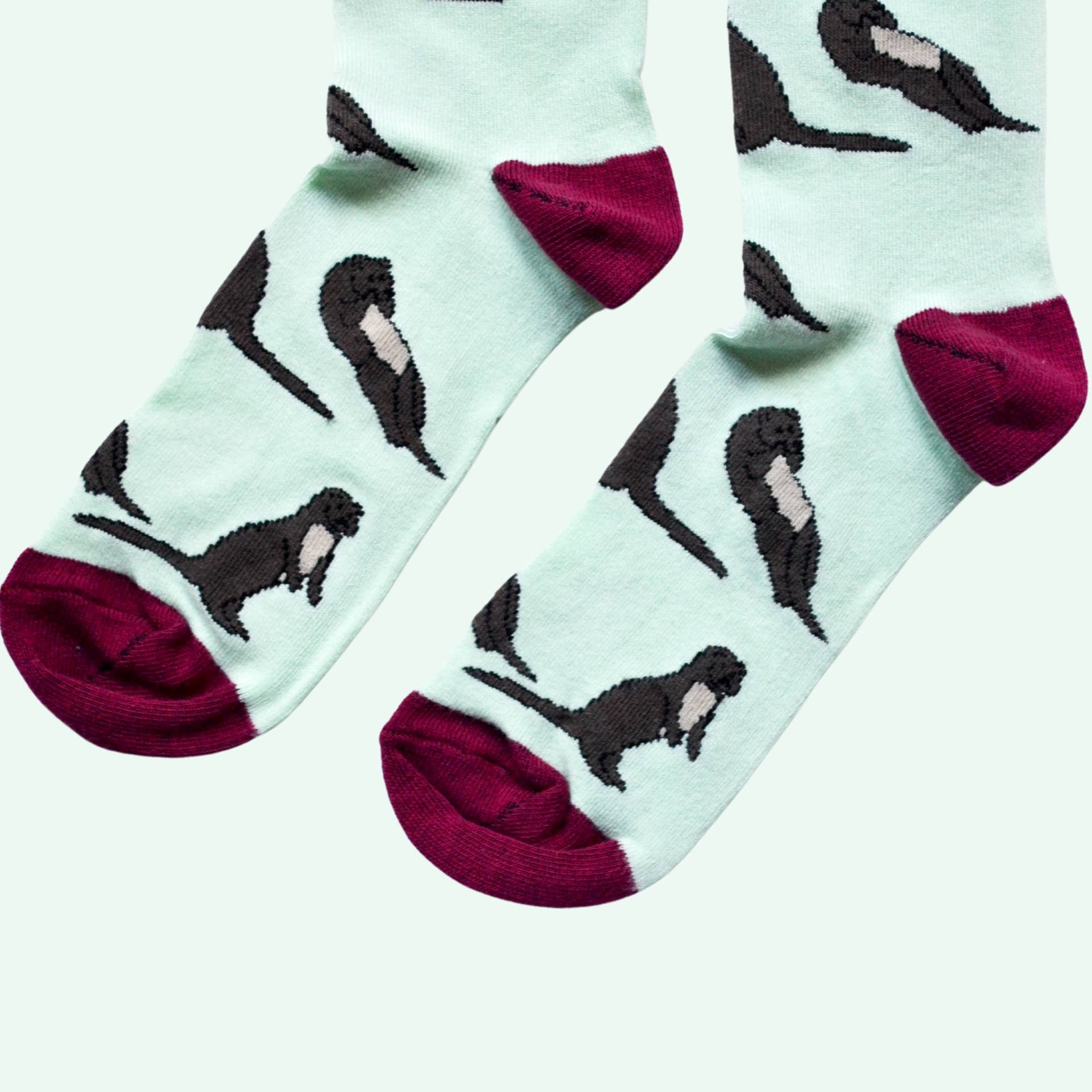 Bare Kind Socks - Wholesale Socks - Unisex - Otter Socks | Bamboo Socks | Pastel Green Socks3