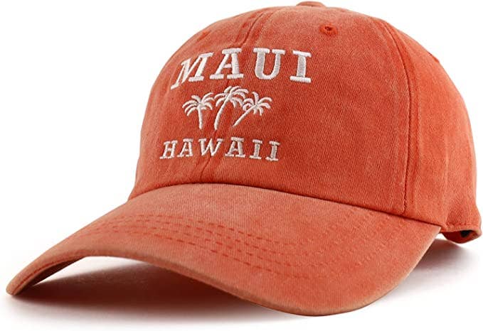 Trendy Apparel Shop - Venta al por mayor Gorra de béisbol - Unisex - Gorra de béisbol bordada Maui Hawaii con palmera15
