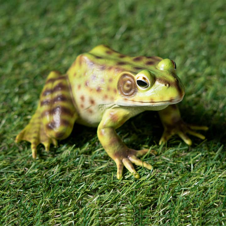 Pacific Trading - Wholesale Decorative Figurine - Frog5