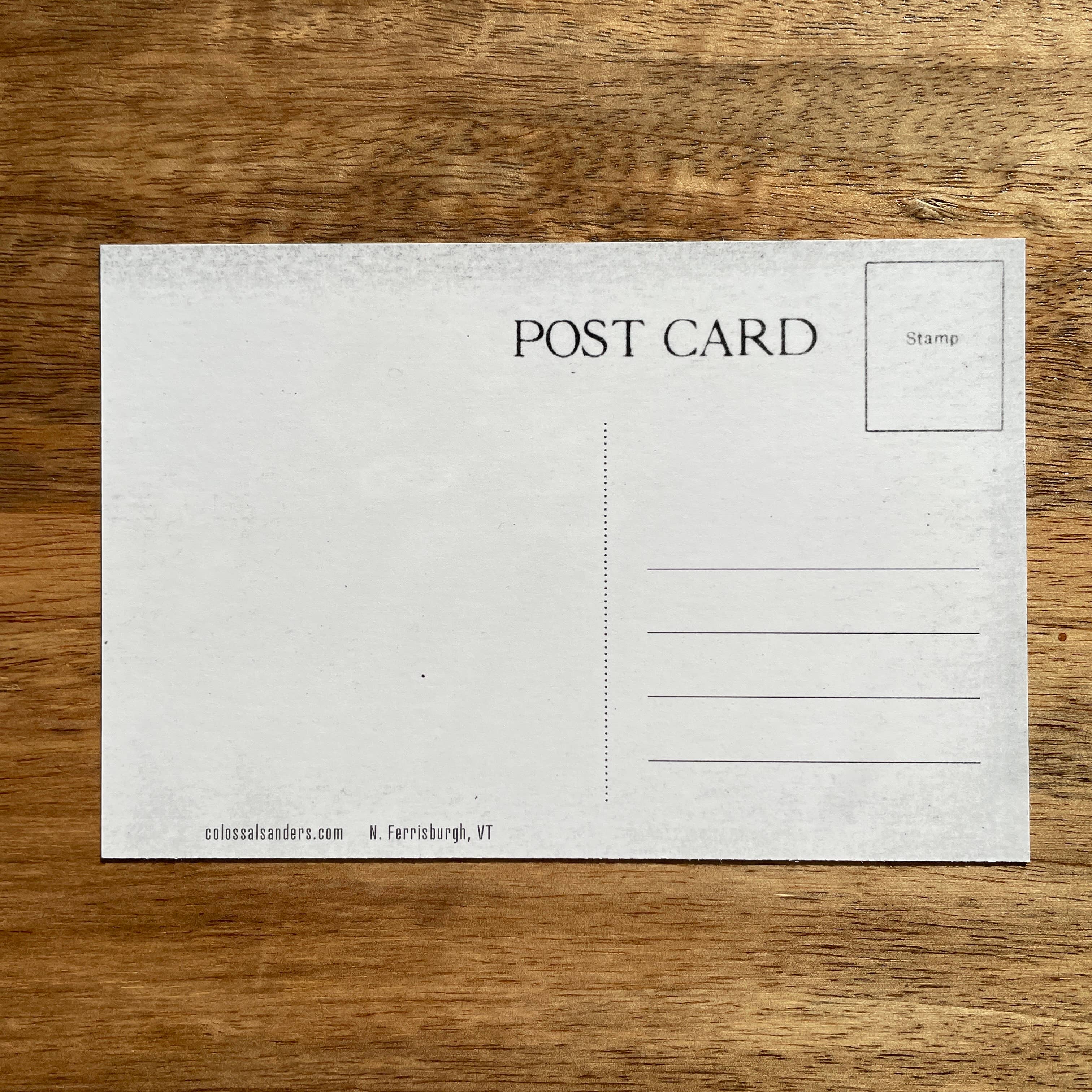 Colossal Sanders - Wholesale Postcard - Vermont Sign Postcard1