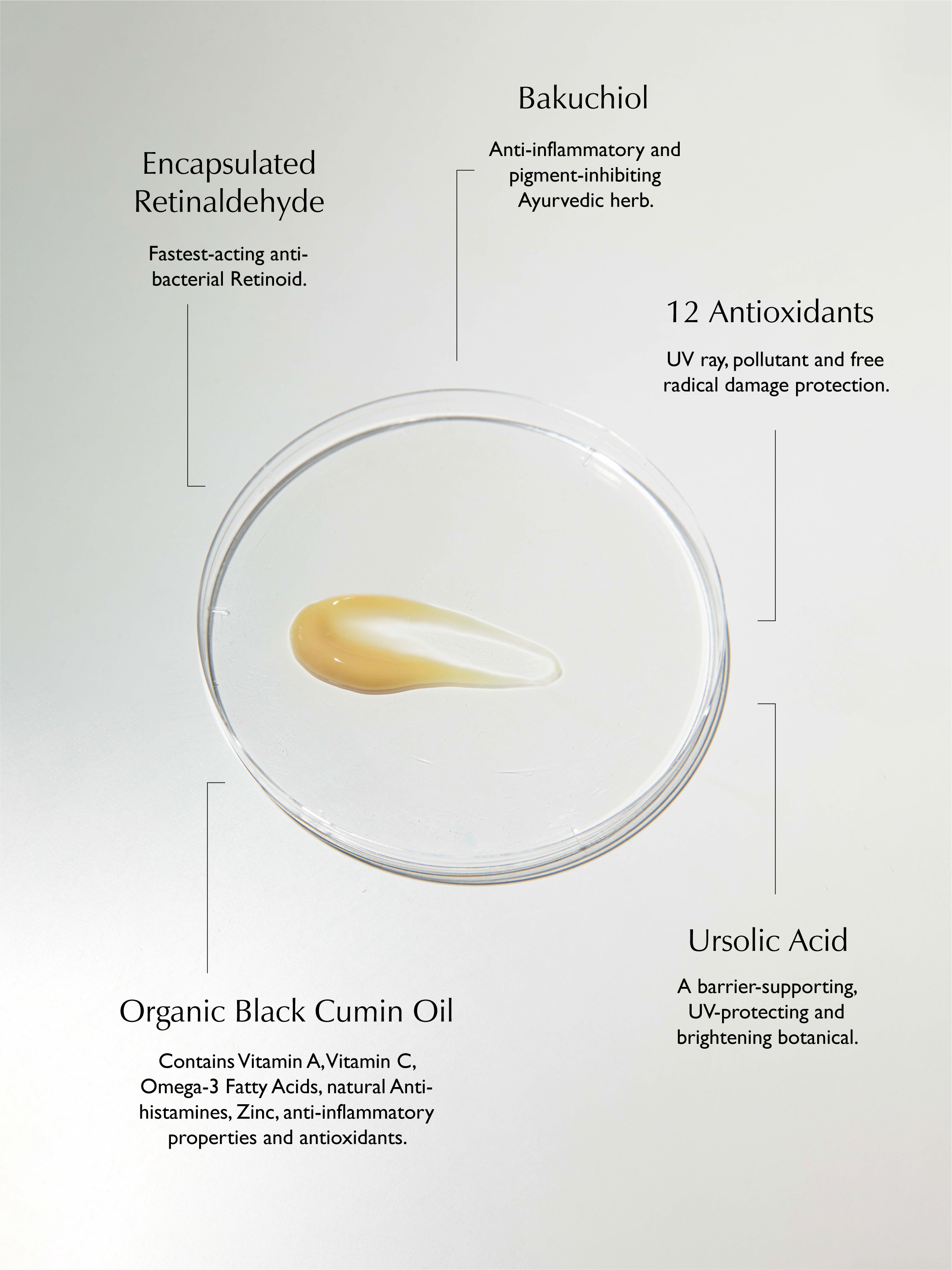 Sachi Skin – wholesale Facial moisturiser – Ursolic Acid & Retinal Overnight Reform - 30ml7