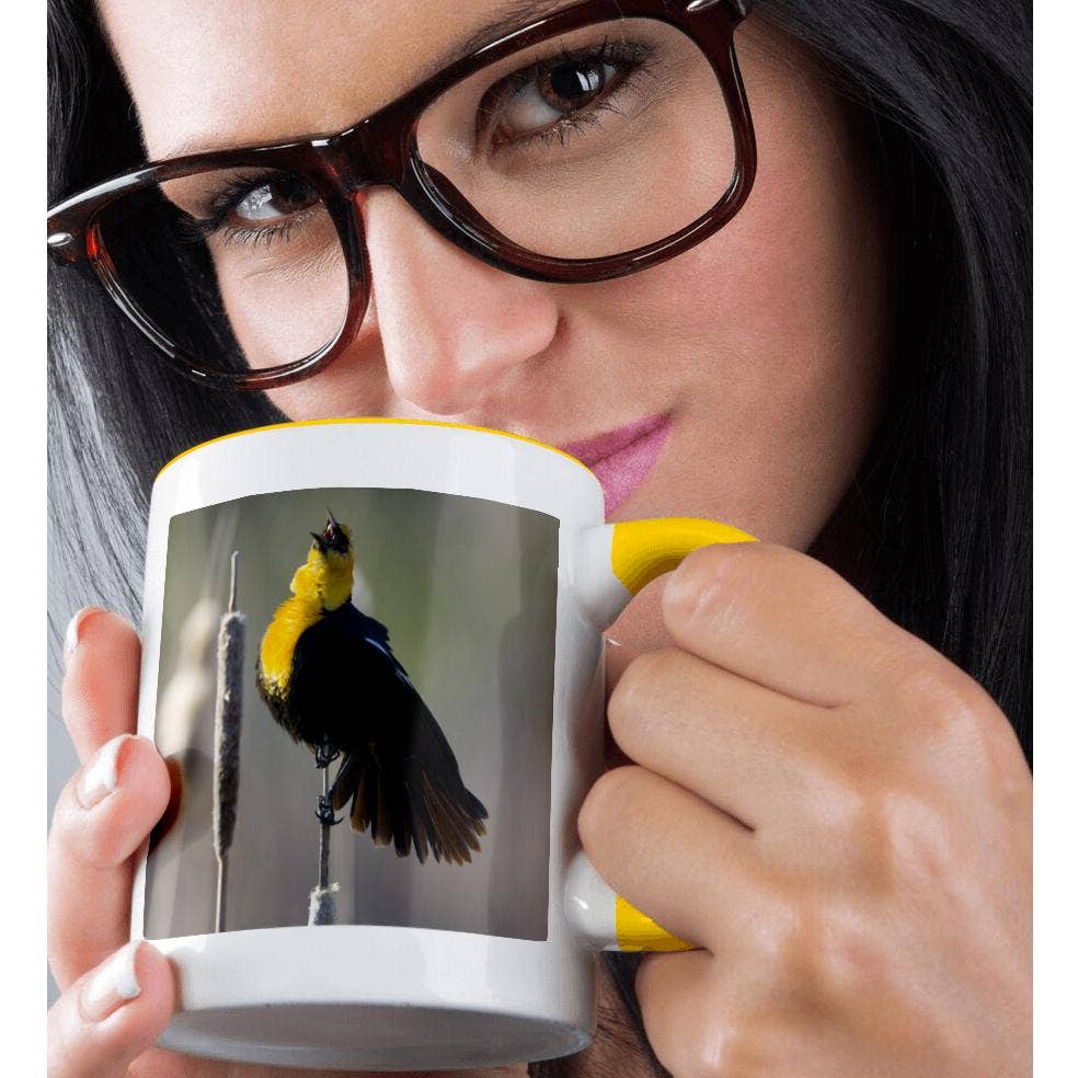 3dRose - Wholesale Coffee Mug - 3dRose, Utah, Cache Valley, Yellow-headed blackbird - US45 SSM0225 - Scott T. Smith, Mug1
